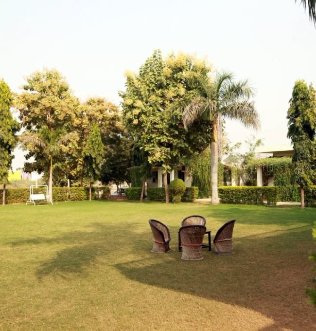 WhatsApp Image 2025-09-24 at 11.31.04 PM (1)